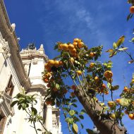 Mijn 6 favoriete hotspots in Valencia