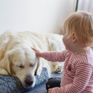 Vrienden voor het leven: 5 tips voor de perfecte omgang tussen je baby en hond